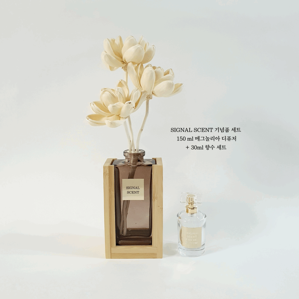 시그널센트 향수 디퓨저 기념품 새트 (메그놀리아)